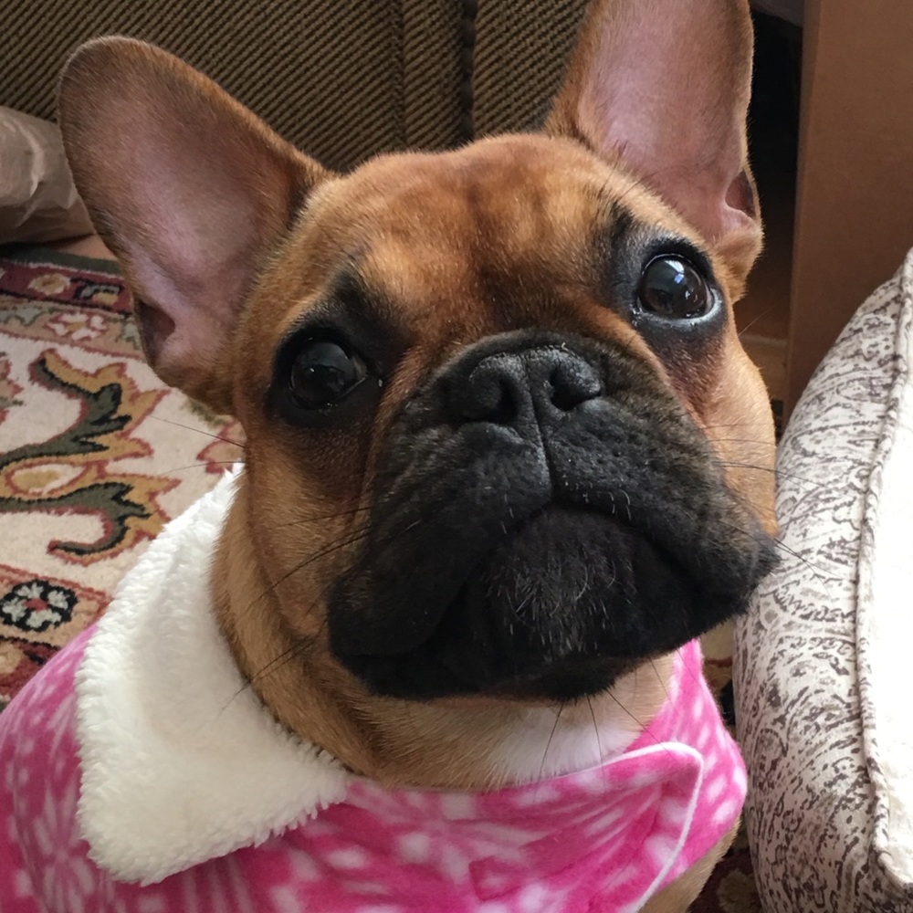 Meet your Posher, Mimi